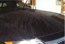 手洗い泡ムートンWAX洗車 イメージ